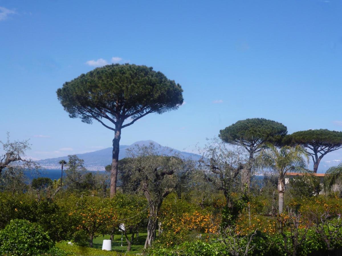 Angelina Suite B&B - Sorrento Centro Luaran gambar